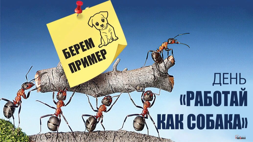 День «Работай как собака». Иллюстрация: «Курьер.Среда»