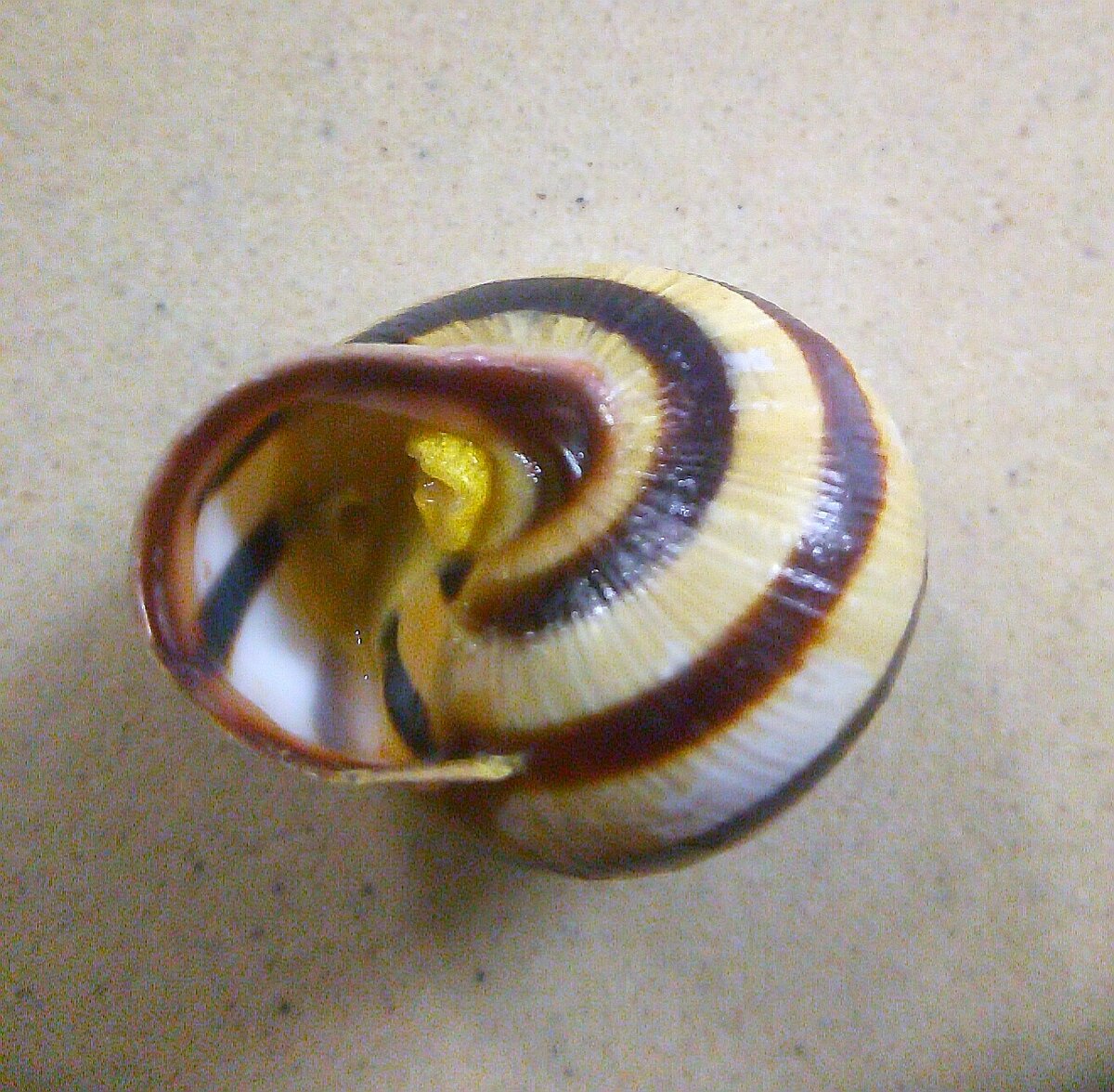 Закрывая себя оболочкой, мы лишаем себя возможности вести нужный нам диалог друг с другом.