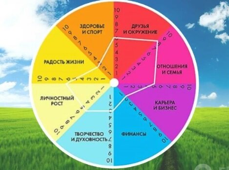 Один из вариантов Колеса баланса. Фото с просторов Яндекс.