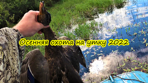 открытие летне осенней охоты 2022