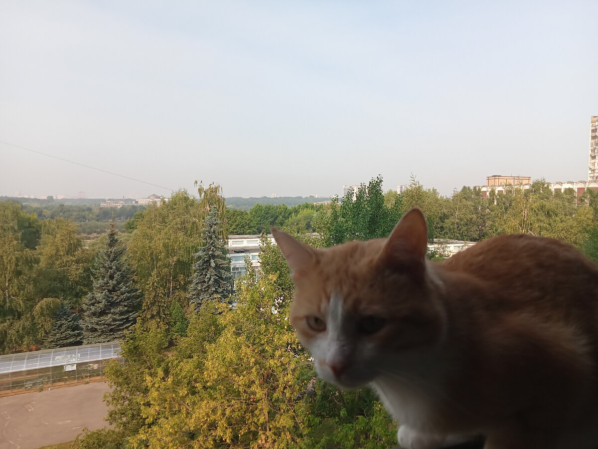 Да мы с Котом дышать выходим двое, он не боится я боюсь. 😆