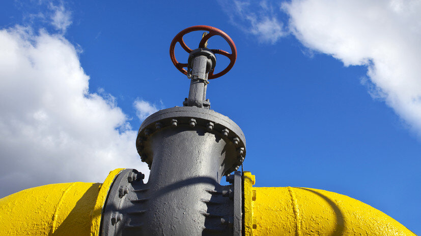   Gettyimages.ru walrusmail