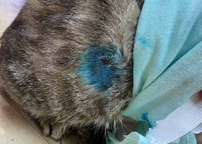    Фото из группы Типичная Тума ВКонтакте