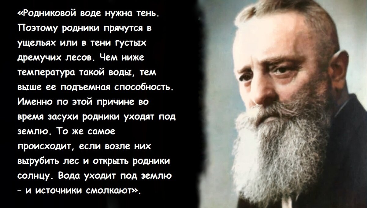 Овладев тайной воды, вы положите конец ненависти, зависти и всем видам  раздора». Изобретатель Виктор Шаубергер о забытых знаниях о воде | Просто  Жить | Дзен