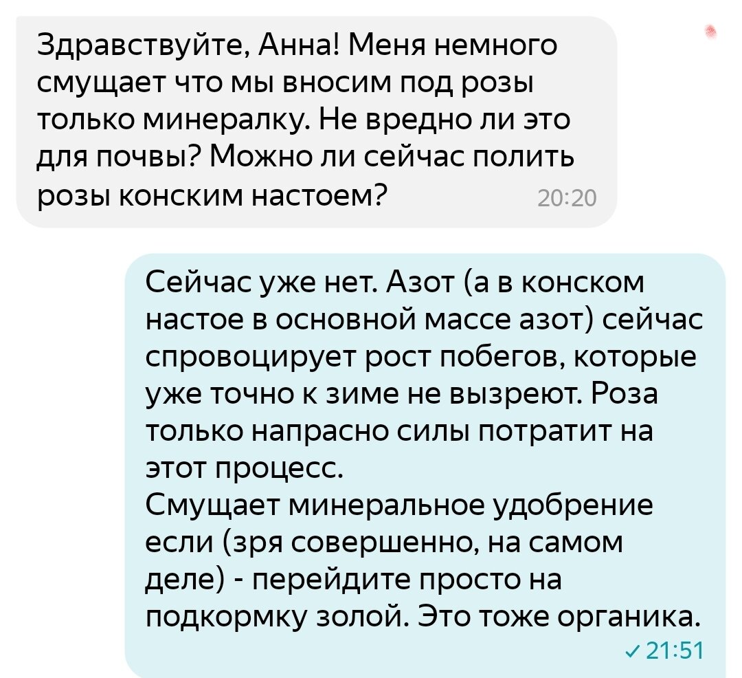 5 сентября 2022 г. Поговорим о розах 🌹Вопросы - ответы. Часть 104 |  Цветочница Анюта 🌹 | Дзен