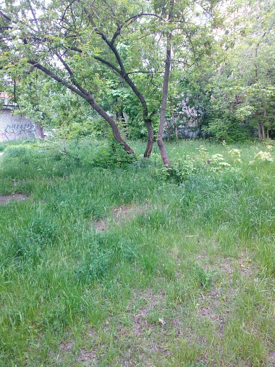 Могила Котофея.