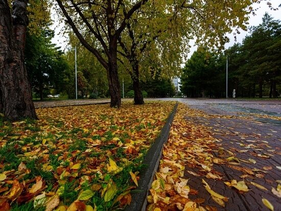     Фото Густаво Зырянова