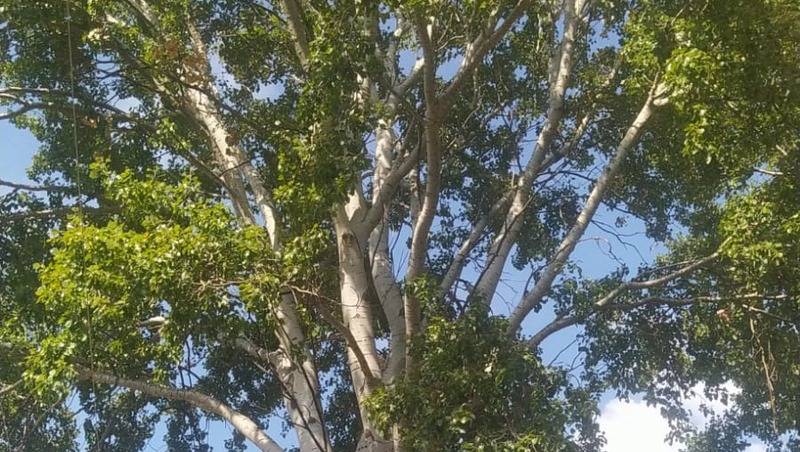 Фото: Из личного архива Елизаветы Козыревой