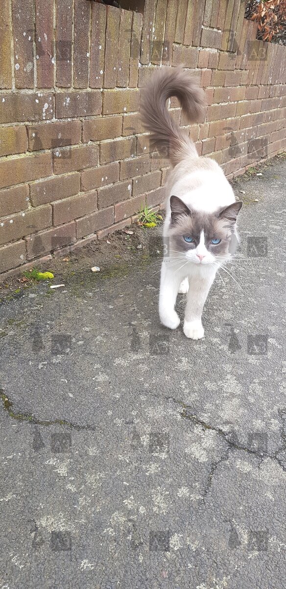 Алан. Фото из личного архива 