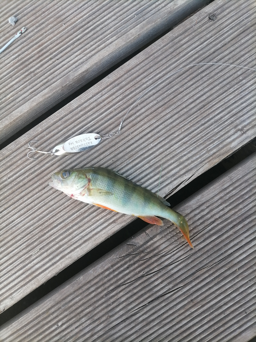 Кастмастер окушкой тоже заценил) 