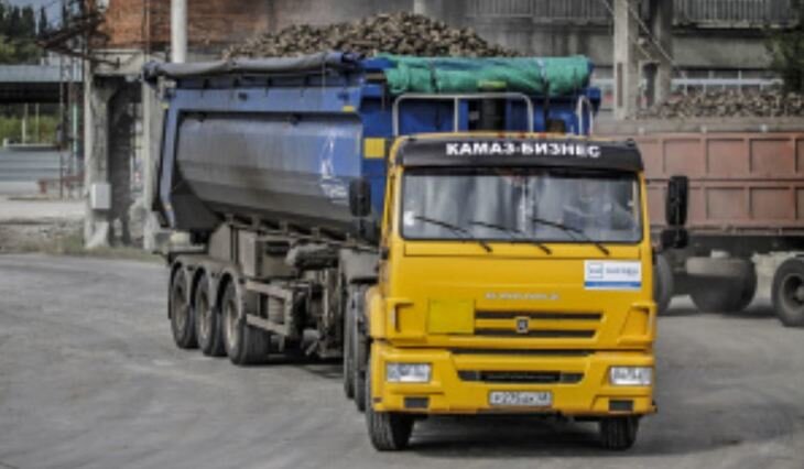    Сахарный пояс России проходит через Липецкую область