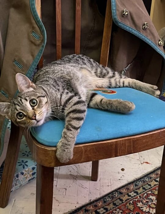 Это две недели назад 