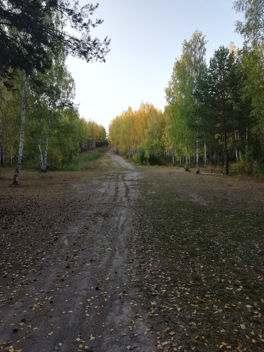 Наши красОты! 