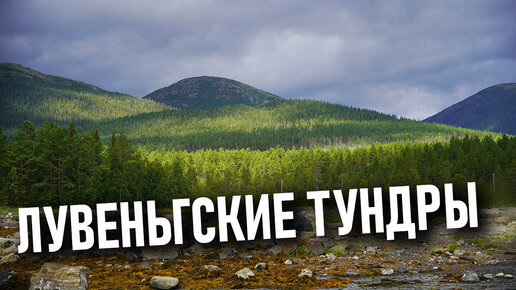 За полярным кругом: Белое море, Лувеньгские тундры, Кандалакшинский берег, Терский берег