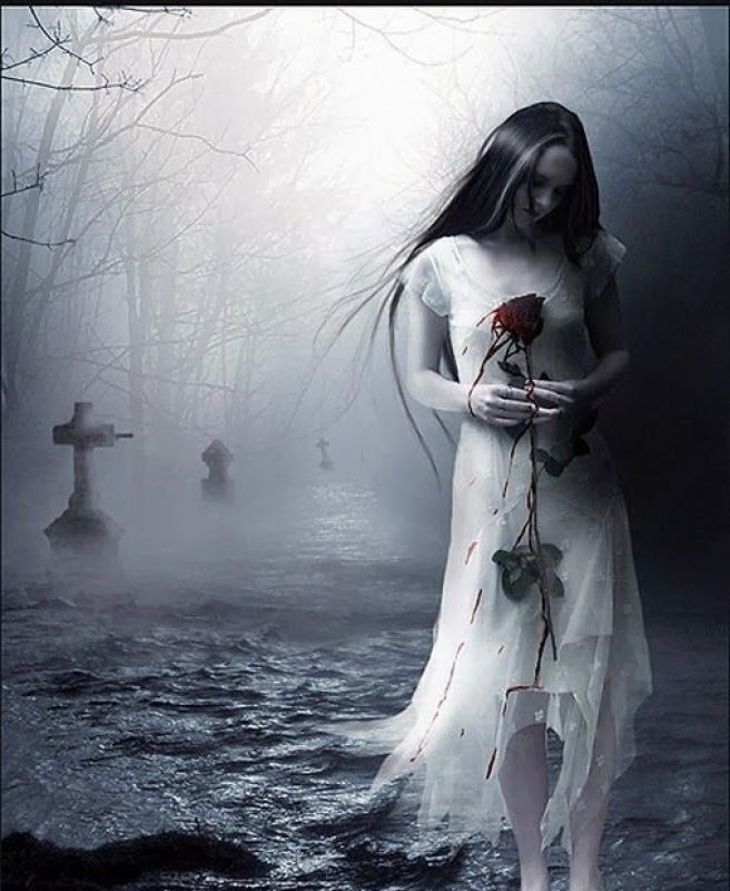 картинка взята из свободного доступа Яндекс картинки