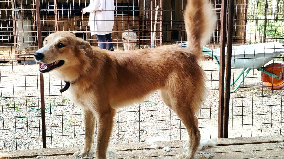 Бусинка. Буся. 1 год