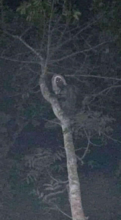 Все фото взяты из открытых источников