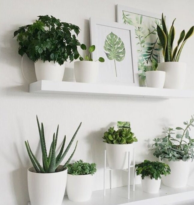 Источник фото Pinterest.com 