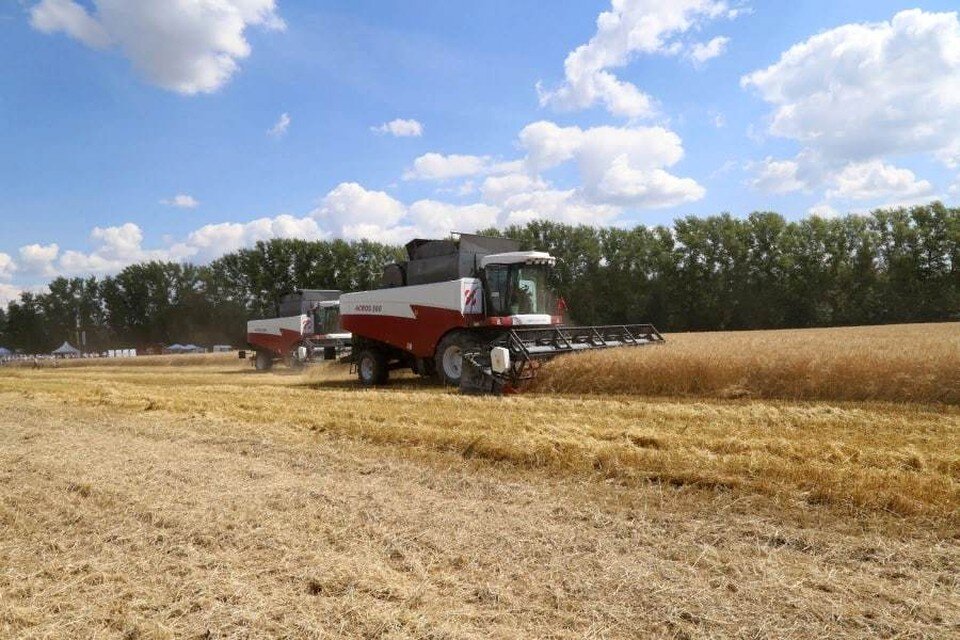     Фото: пресс-служба правительства Орловской области