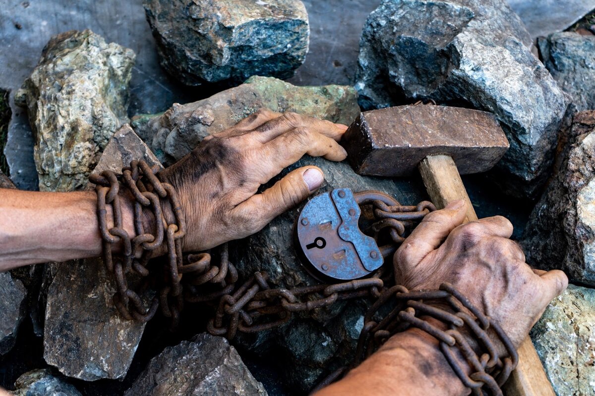 Фото: Woff / Shutterstock.com