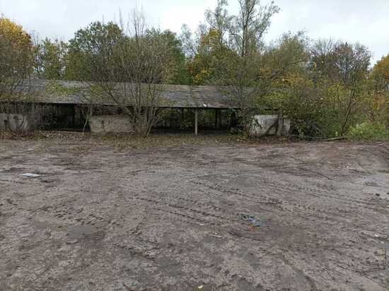     фото: прокуратура Тульской области