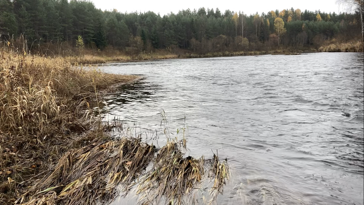 Перекат река Вага