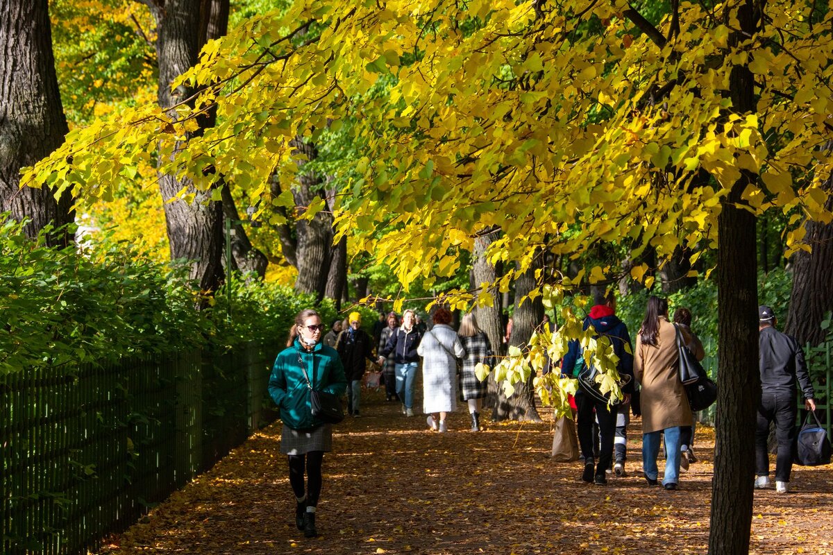 Санкт-Петербург осенью