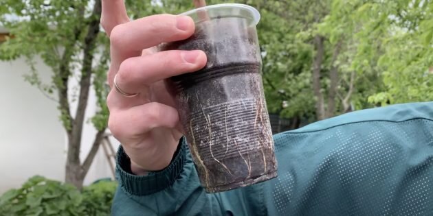 Кадр: Grozdi Grape / YouTube📷
