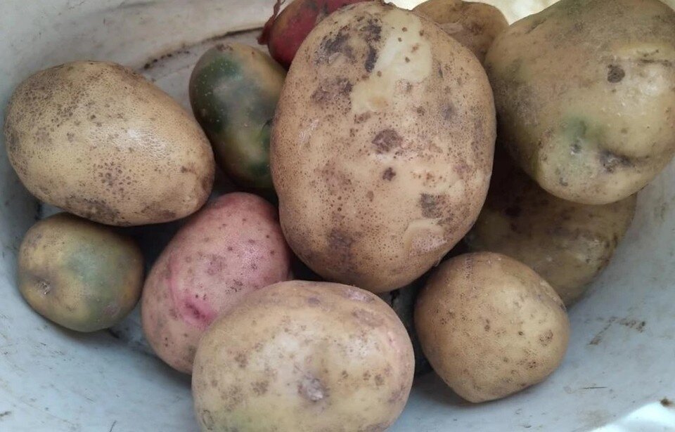     Фото: Наталья Меркулова  Архив "КП"