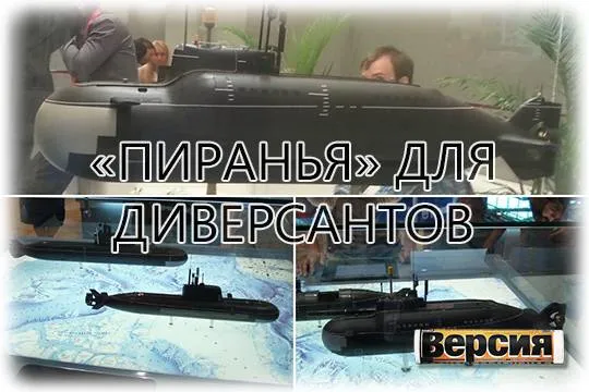 Уникальные подводные лодки для боевых пловцов находились в составе флота менее десяти лет