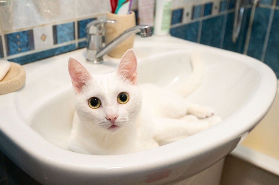     Сотрудники коммунальной службы занимаются устранением утечки Юлия ПЫХАЛОВА