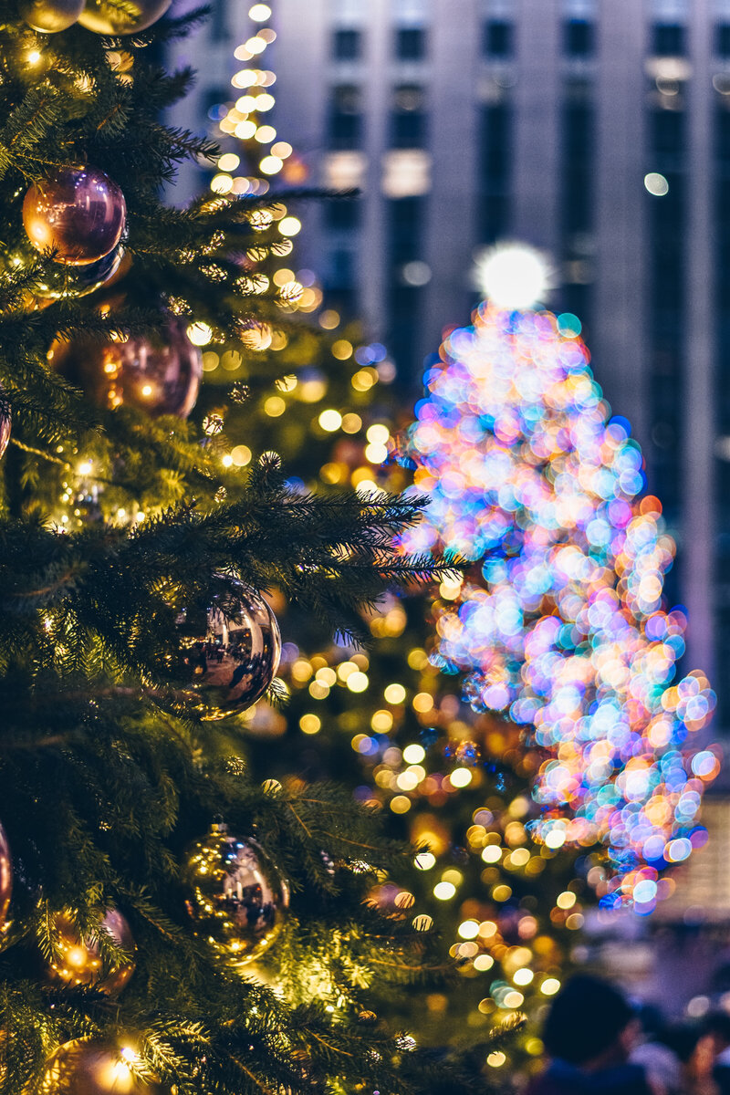 Photo by Ibrahim Boran on Unsplash