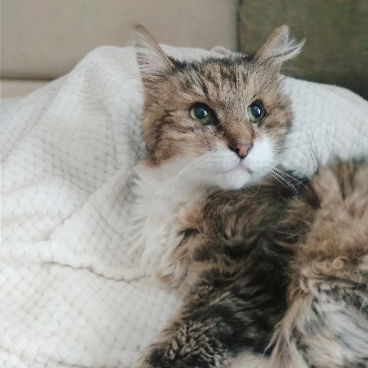 Здесь Ричарду 21 годик