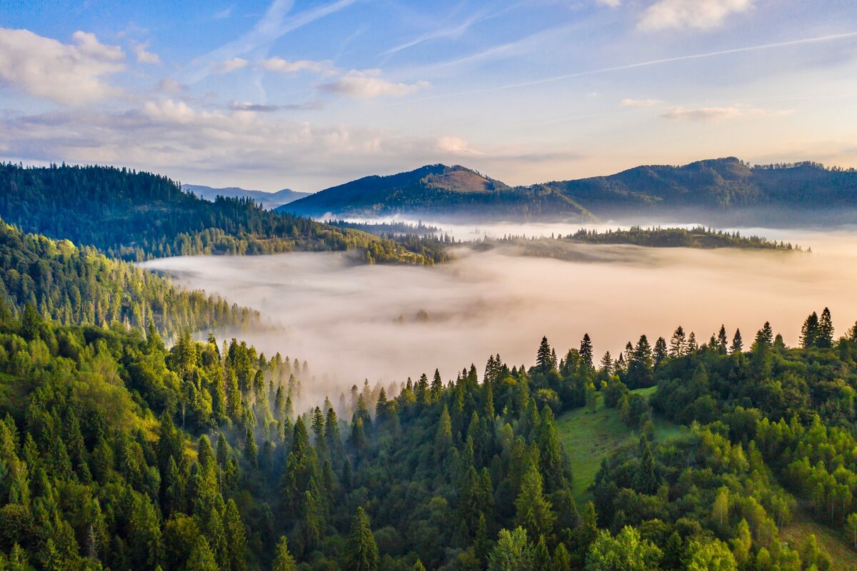 Изображение freepik.ru