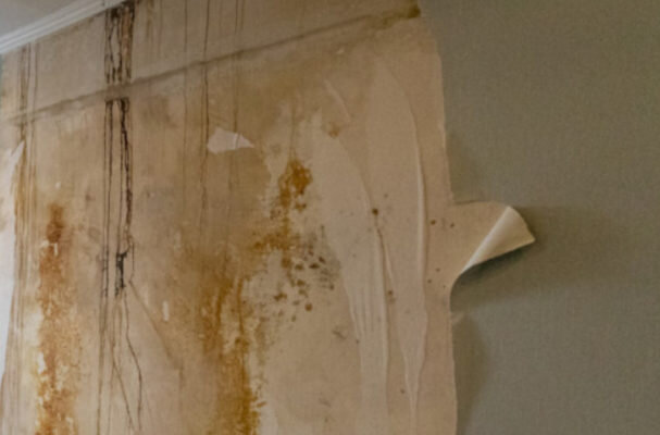    Фото представлено в качестве иллюстрации и не имеет отношения к описываемым событиям