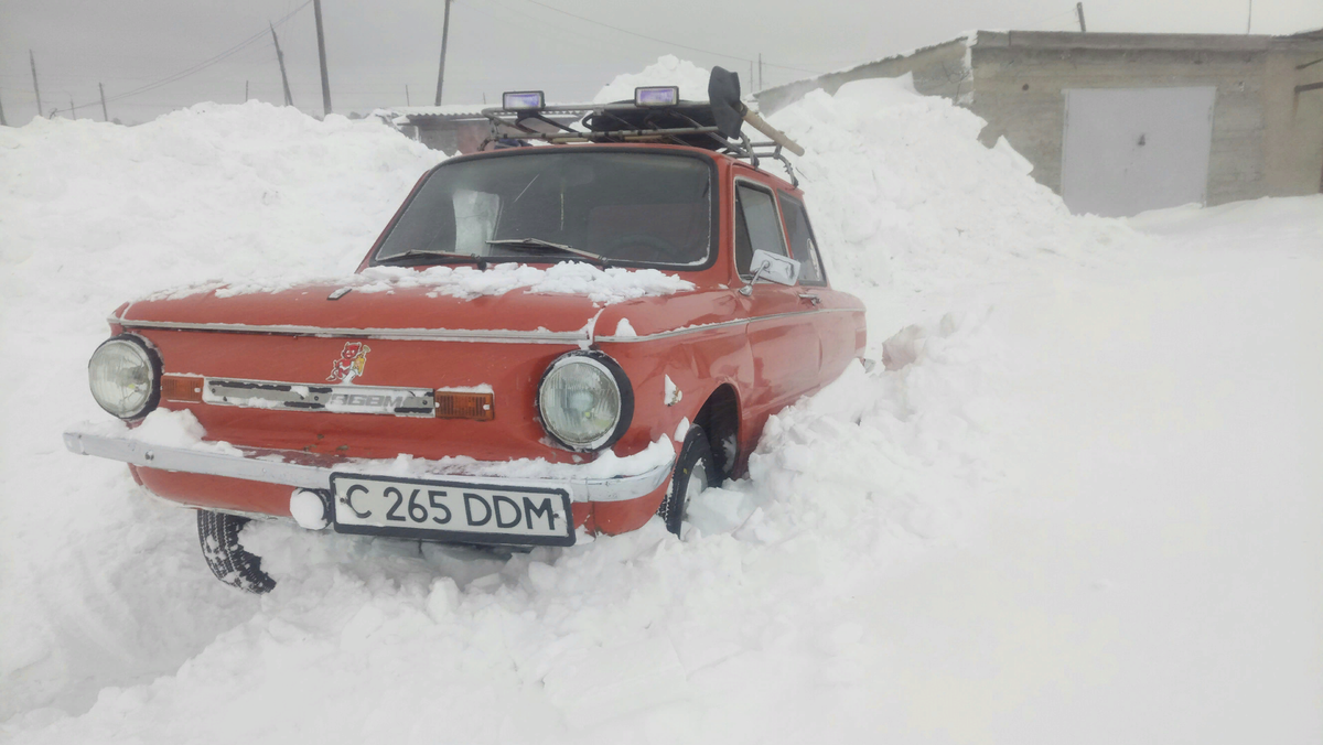 Фото из свободного доступа