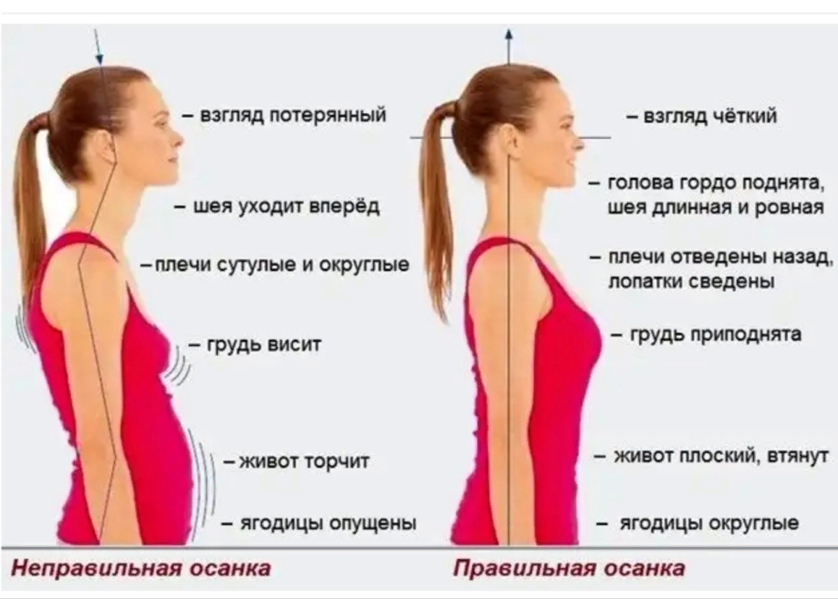 Подъем головы. Сутулая осанка. Правильная осанка шеи. Осанка шея вперед. Правильная и неправильная осанка.