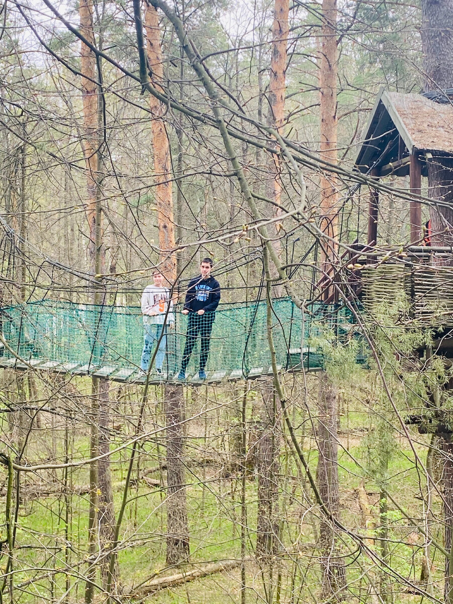 Канатная дорога в Приокско - Террасном заповеднике