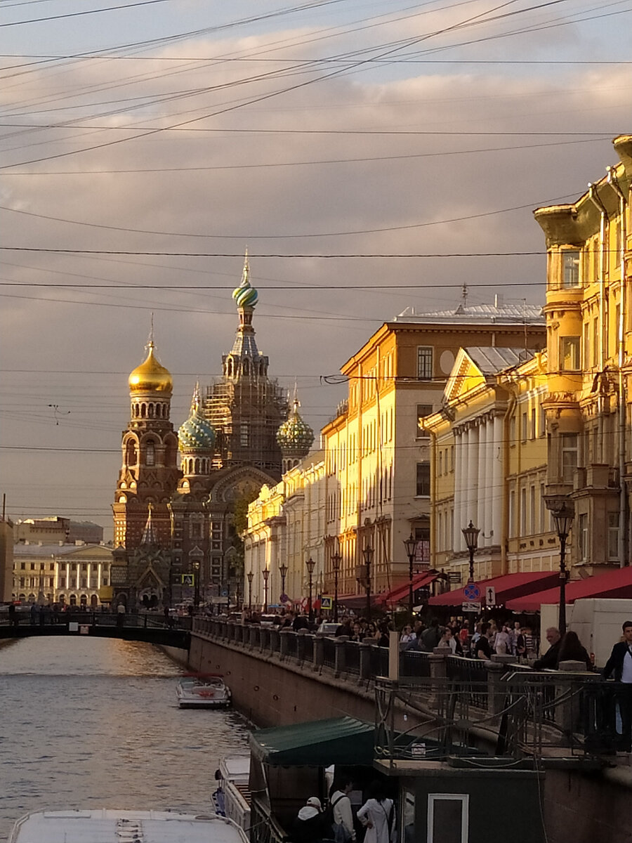 Дешёвое жильё в центре Питера - три с половиной прикольных варианта по два  с половиной миллиона рублей | Светлана Горячева | Дзен