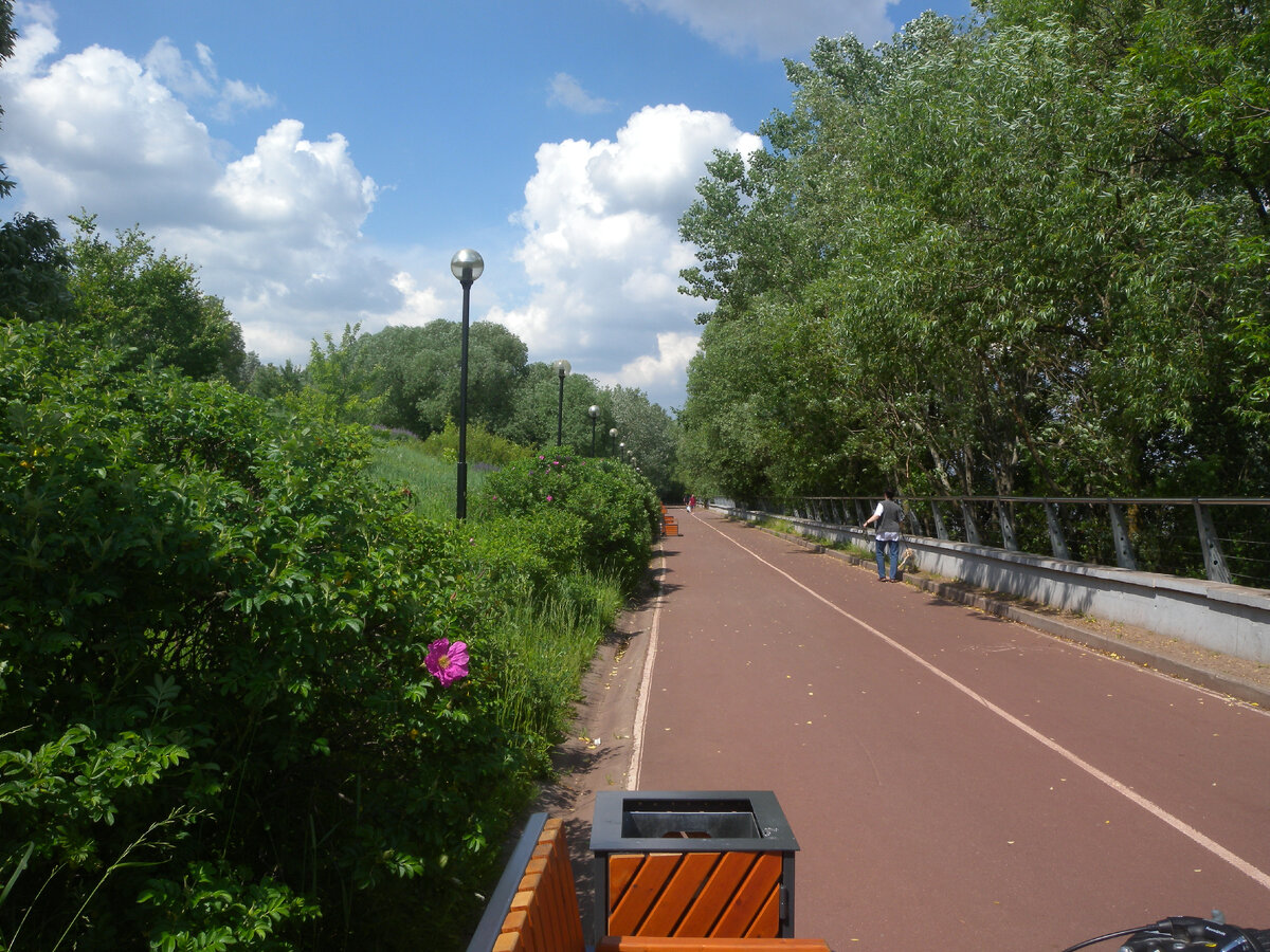 Раздолье для катаний