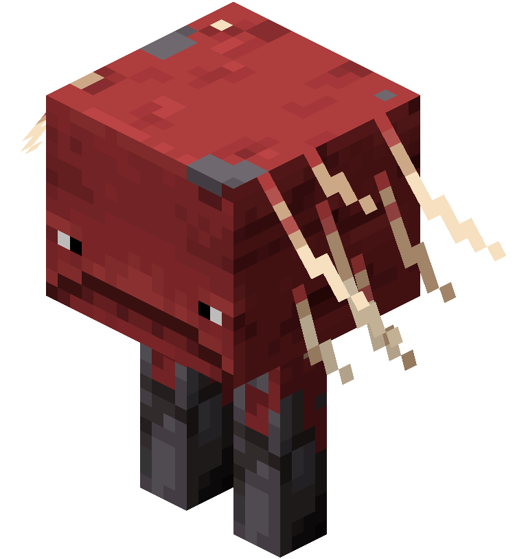 Это и есть гость нашей програмы