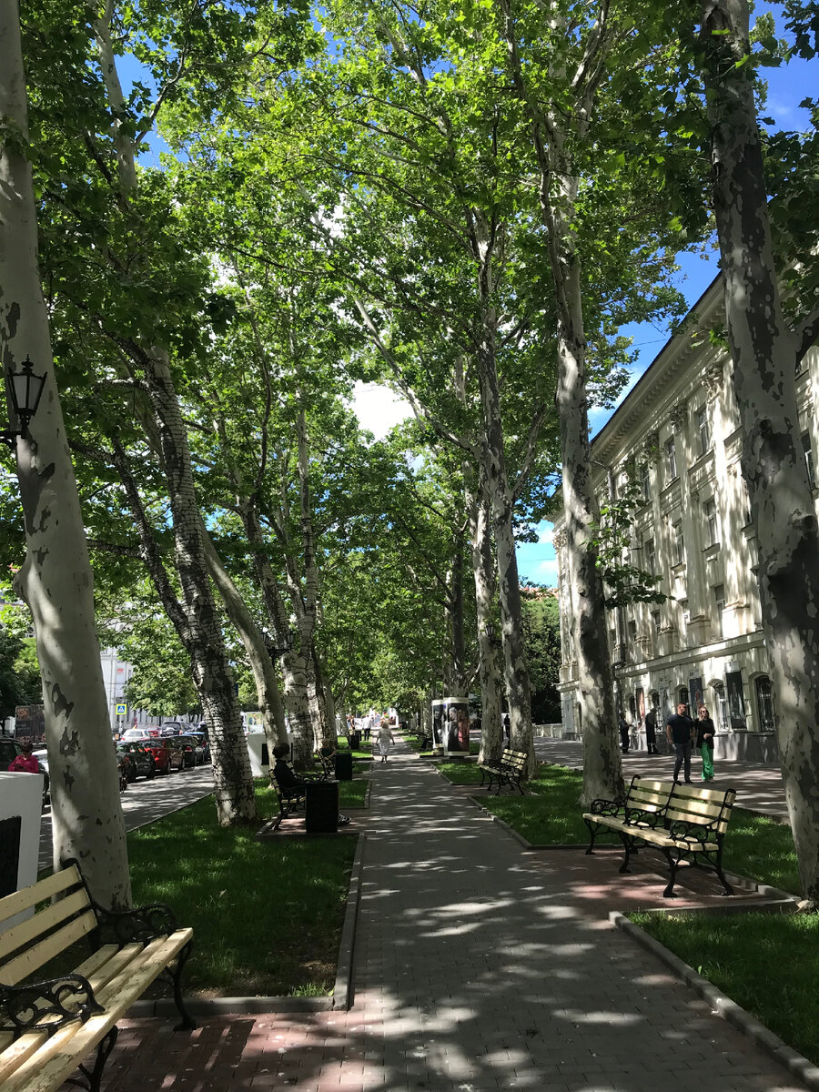 Аллея возле театра🎭