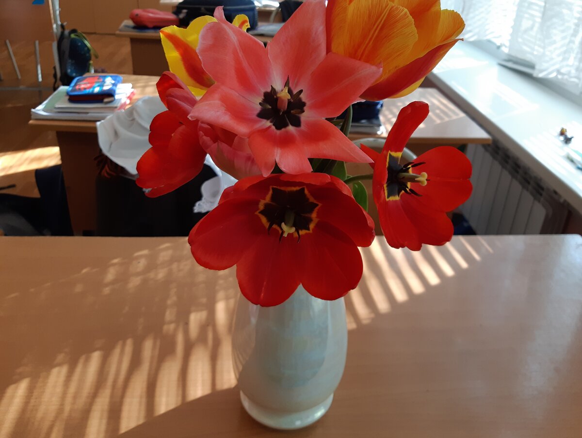 Фото автора для читателей канала.