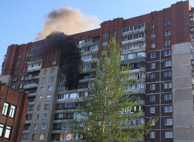 Фото: собственный корреспондент Петербург Медиа