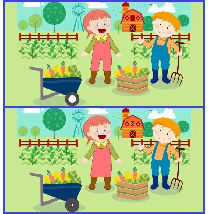 #развлечения #тесты