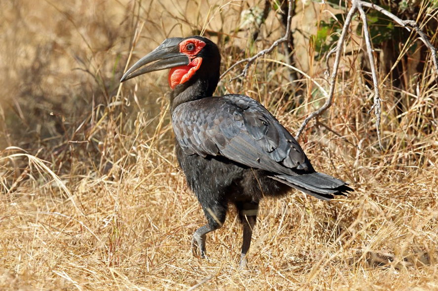   ,       40 . : clasbio.ru