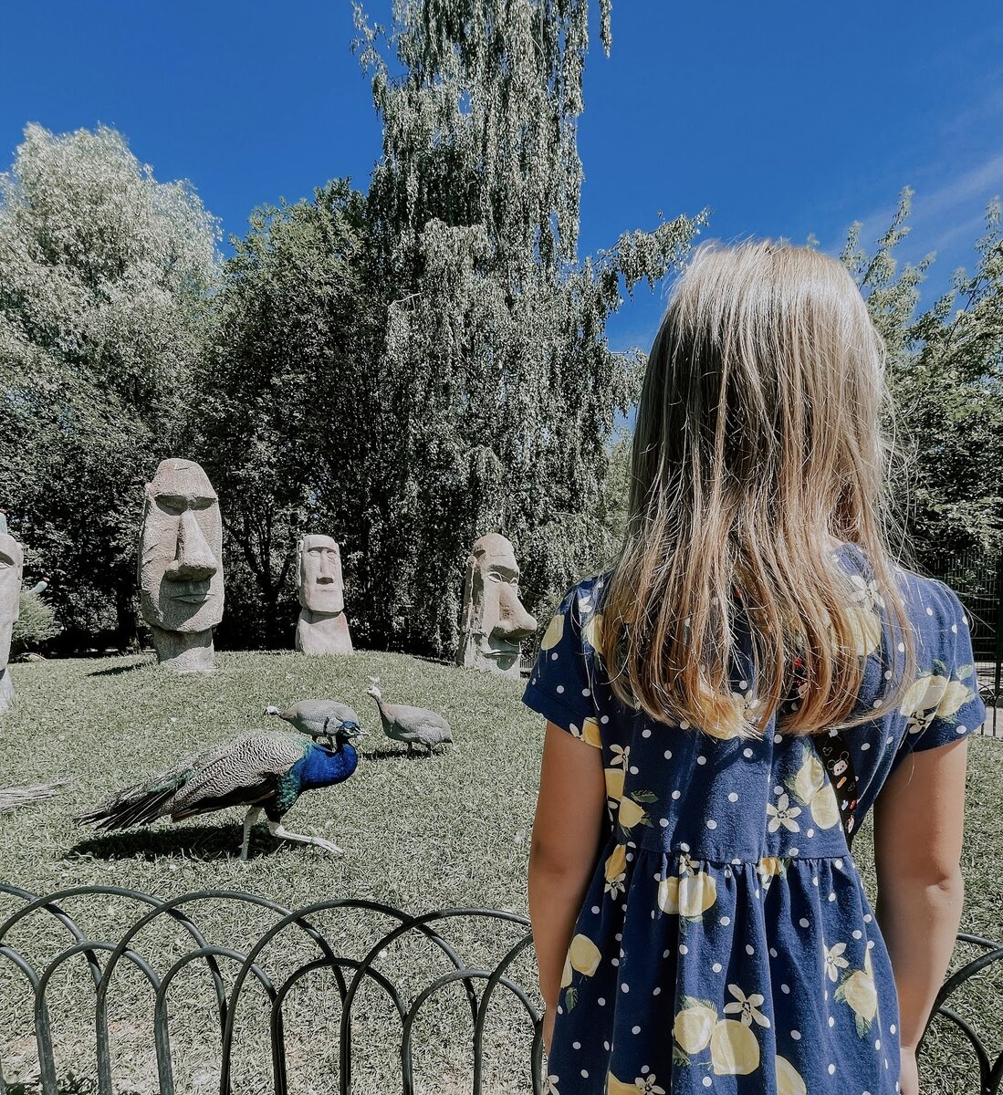 Зоопарк Лимпопо в Нижнем Новгороде