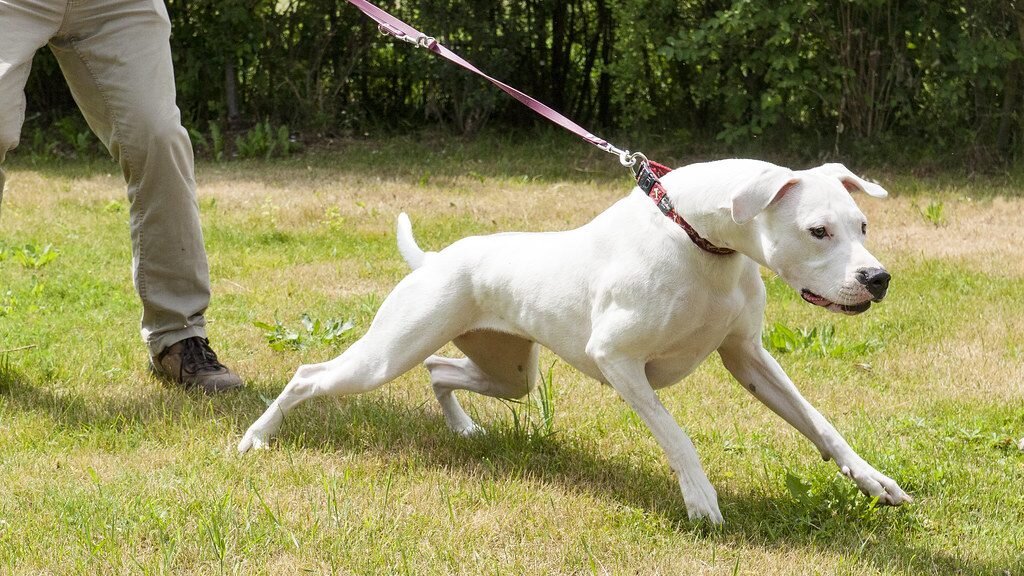 Фото с просторов 