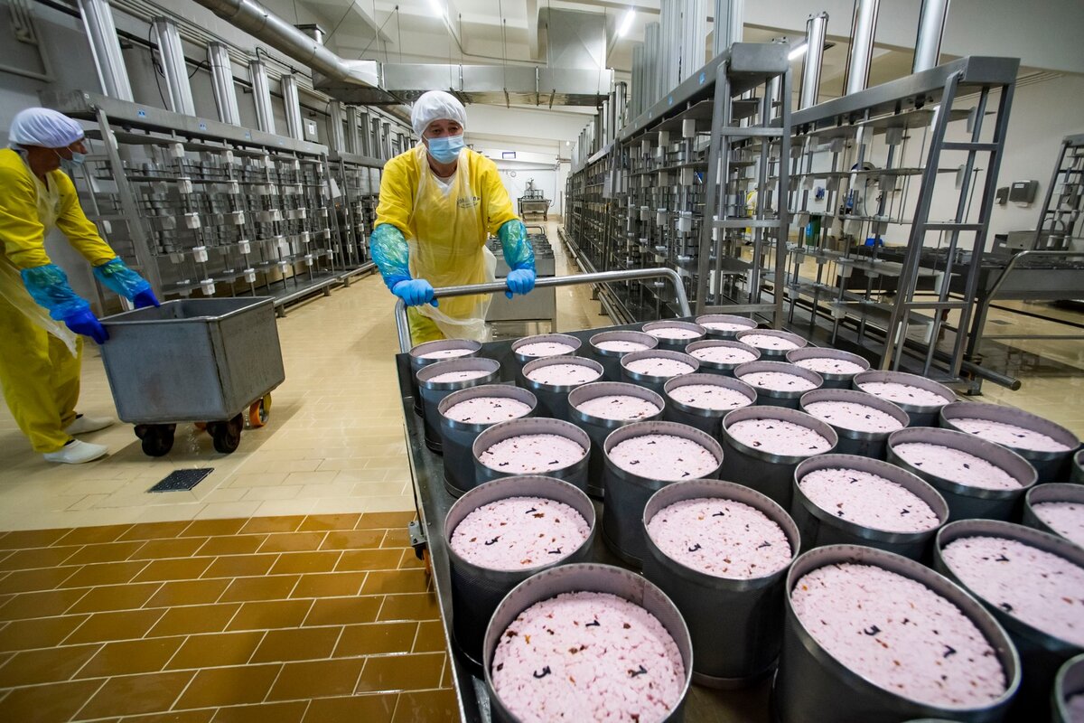 кража сыра на молочном заводе. сыр 0%. челябинский сыр уникальный. сыр челябинская область. украл сыр в магазине.