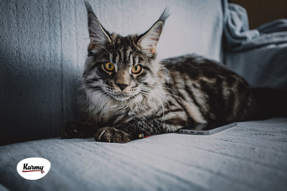 Авторское изображение с использованием картинки с фотостока "Unsplash"